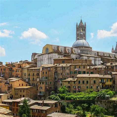 Image result for Python Siena