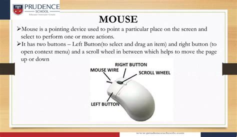Data Entry 的图像结果