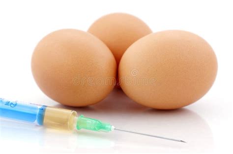 Image result for TG Genetic Modification