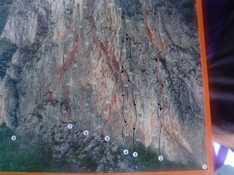 Rock Paradise: Leon Dormido