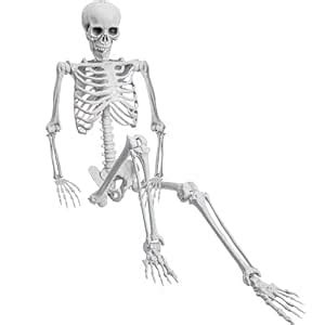 EVINIS 5.4ft/165cm Halloween Realistic Full Body Skeleton Life Size ...