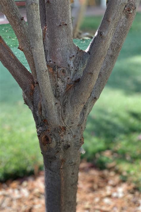 Image result for Structured Pruning