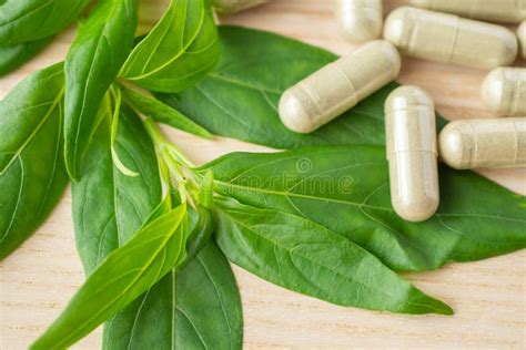 Nature Medicine 的图像结果