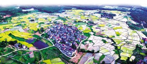 绿笔画蓝图——吉安县推进生态文明建设纪实_吉安新闻网
