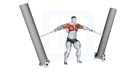 Image result for Hand Crossover Exercise