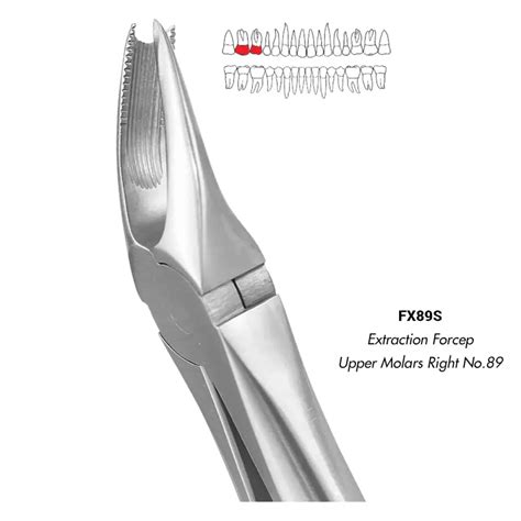 Import 3.2mm Tapered HD Surgical Drill - Precision & Durability ...