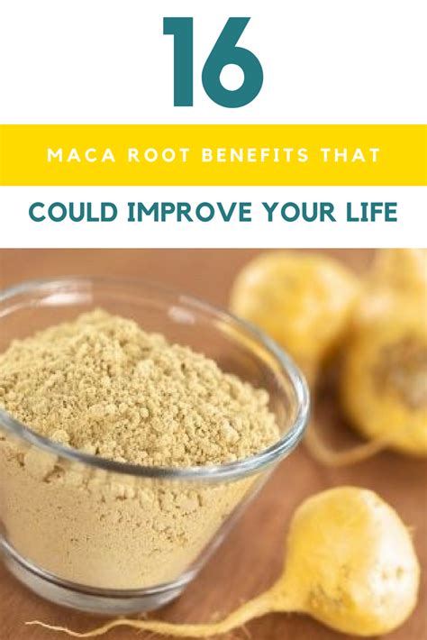 Image result for Maca Root Copy Right Free Images