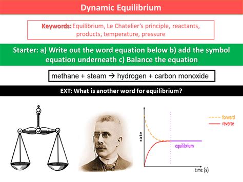 Dynamic Equilibrium 的图像结果
