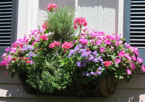 JLL DESIGN: Window Box Ideas & More Garden Inspirations