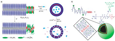 Stimuli-Responsive Block Copolymer-Based Assemblies for Cargo Delivery ...