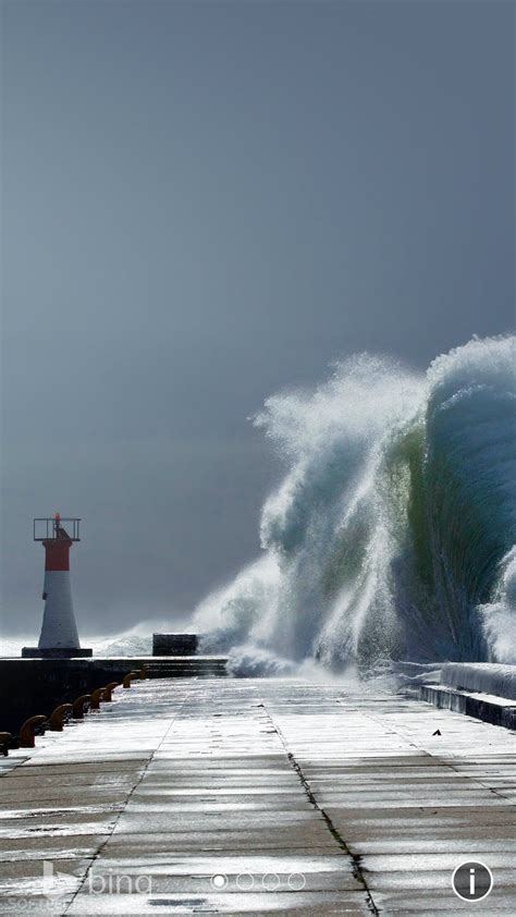 Bing Android Video Full Screen 的图像结果