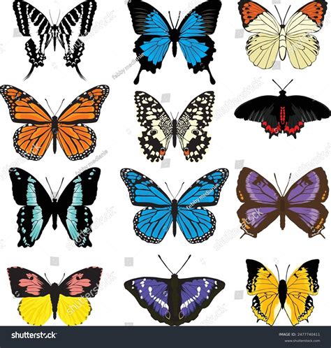Image result for Butterfly Graph Design