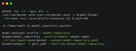Image result for Triton Inference Server Tutorial