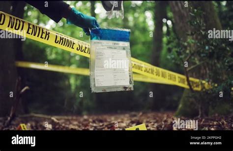 Forensic Science Crime Scene 的图像结果