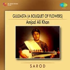 In Search Of You Based You-Shiva Kalyan-Ustad Amjad Ali Khan MP3 Song ...