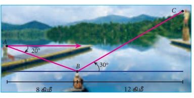 பயிற்சி 6.4 : ஏற்றக்கோணமும் இறக்கக்கோணமும் கொண்ட கணக்குகள் - கேள்வி ...