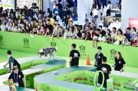 回顾 第二十一届亚洲宠物展PetFairAsia2018 看点