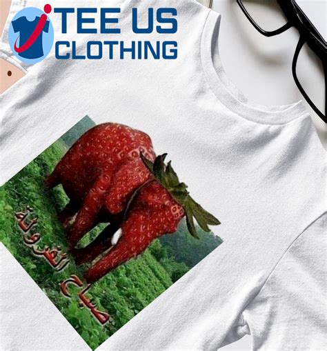 Funny Elephants Memes