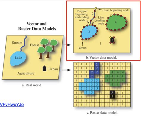 Raster vs Vector Data Model 的图像结果