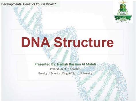 Image result for DNA Structure Simple