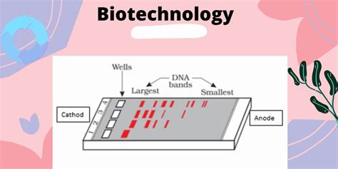 Biotechnology Definition 的图像结果