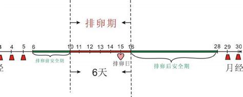 月经周期怎么算? 怎么算月经周期_知秀网