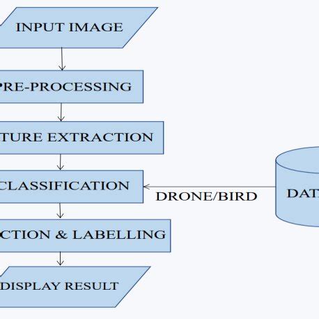 IP Input Process Flowchart 的图像结果