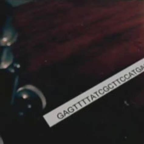 Image result for How to Program DNA