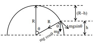 A small block slides down from the top of hemisphere of radius R = 3 m ...
