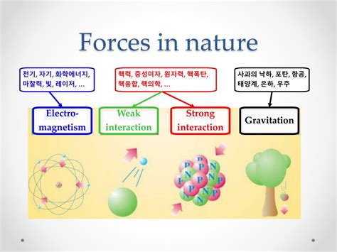 Particle Physics Experiments 的图像结果