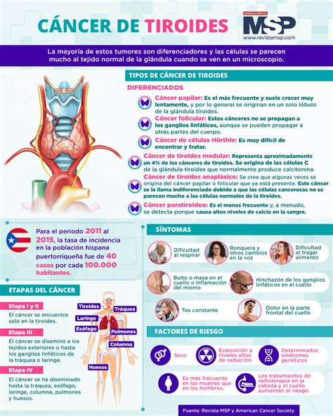 Tiroides Sintomas Y Tratamiento La Tiroides Y Los 16 Síntomas Que Te