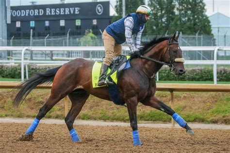 2025 Belmont: Which horses are bred to handle the distance? | TwinSpires