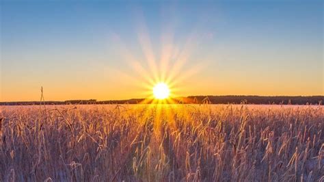 CraneOutdoors: Summer Solstice Hike and Fire Pit Adventure, 290 Argilla ...