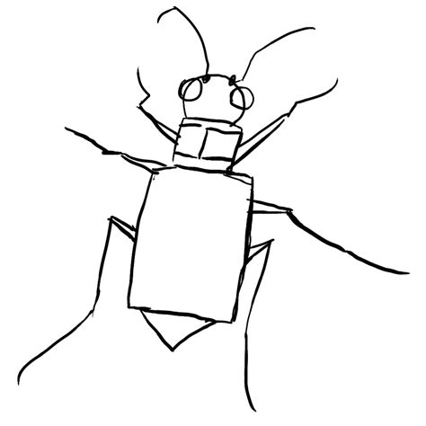 Image result for Drawing Basic Shapes