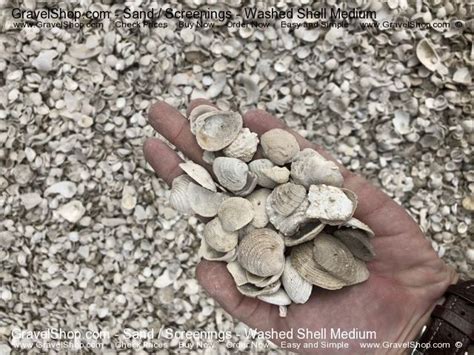 Image result for Shell vs Wash