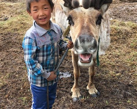 SUNPATH HOSTEL (Ulaanbaatar) - Hostel Reviews, Photos, Rate Comparison ...