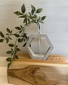 Chitra Artworks_Artificial Plant with Pot | Concrete Pot | Cement Pot ...