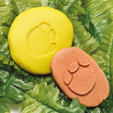 Buy Let's Investigate Dinosaur Footprints Online – Popup Kids