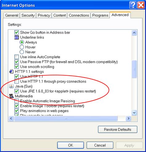 Activar Java En Internet Explorer 的图像结果