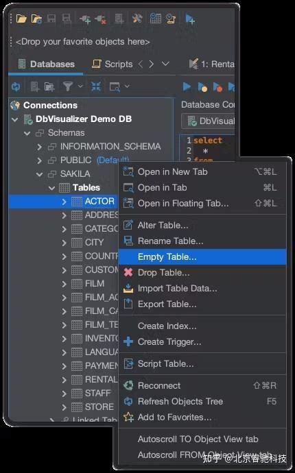 DbVisualizer SQL Statements 的图像结果