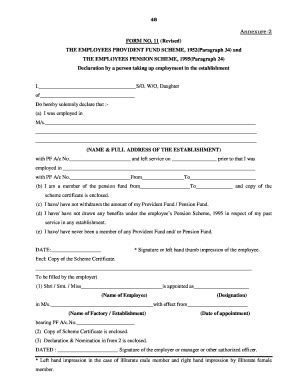 Composite Declaration Form 11 - Blank Fillable Template | Fill Out ...
