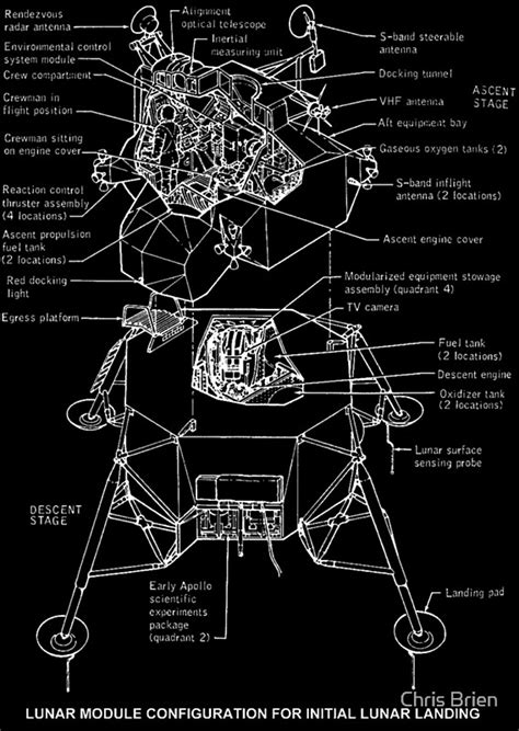 Command Module and Lunar Module Names 的图像结果