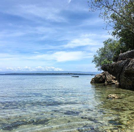 RENE'S DIVERSLOUNGE RESORT (Calape, Bohol Province) - Inn Reviews ...