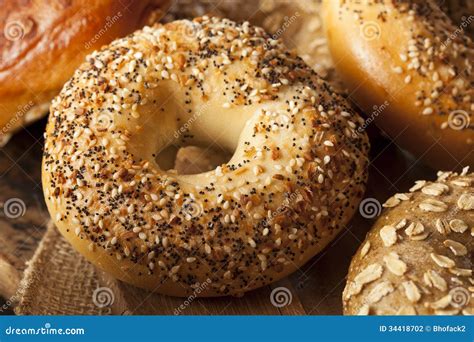 Healthy Organic Whole Grain Bagel Stock Photo - Image of baked, bread ...