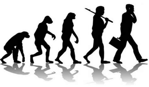 进化,人类的进化,进化论的高清图库素材免费下载(图片编号:7356967)-六图网
