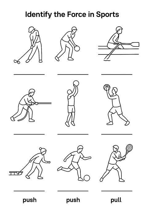 Sports. Sort Worksheet 的图像结果