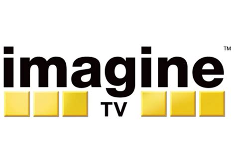 Turner pulls the plug on Imagine TV | Media | Campaign India