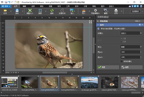 PhotoPad Code 的图像结果