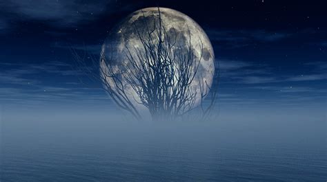 Image result for Vue xStream Tutorial