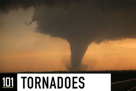 Mega Tornado 的图像结果